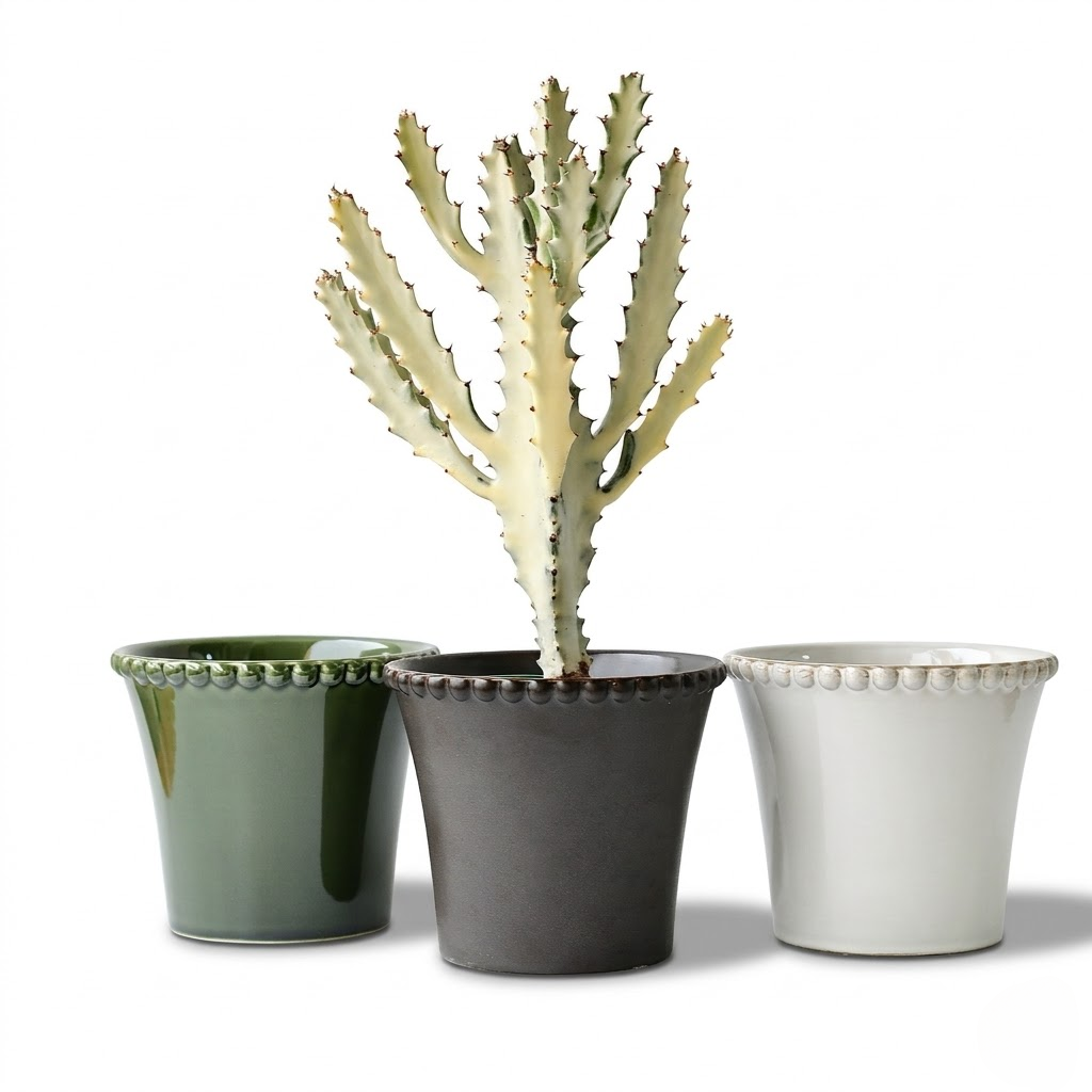 Bead-Rim Creative Ceramic Planter